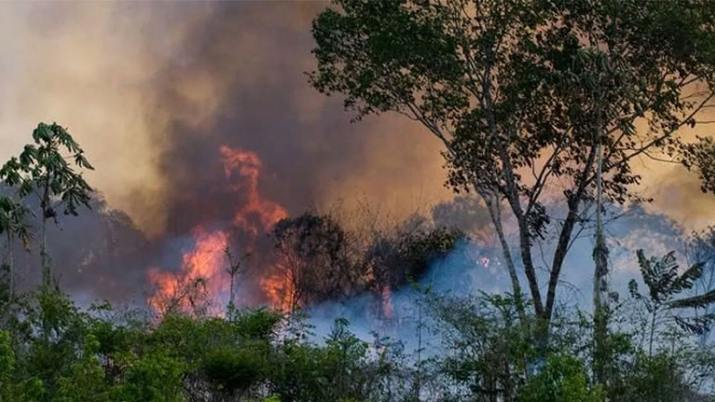 Incendio en el Amazonas Incendio en el Amazonas