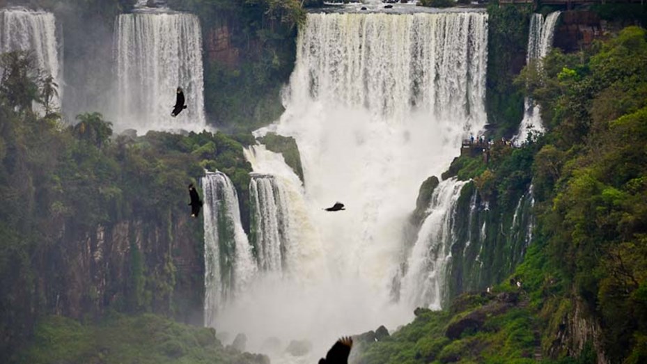 Parque de Brasil Parque de Brasil