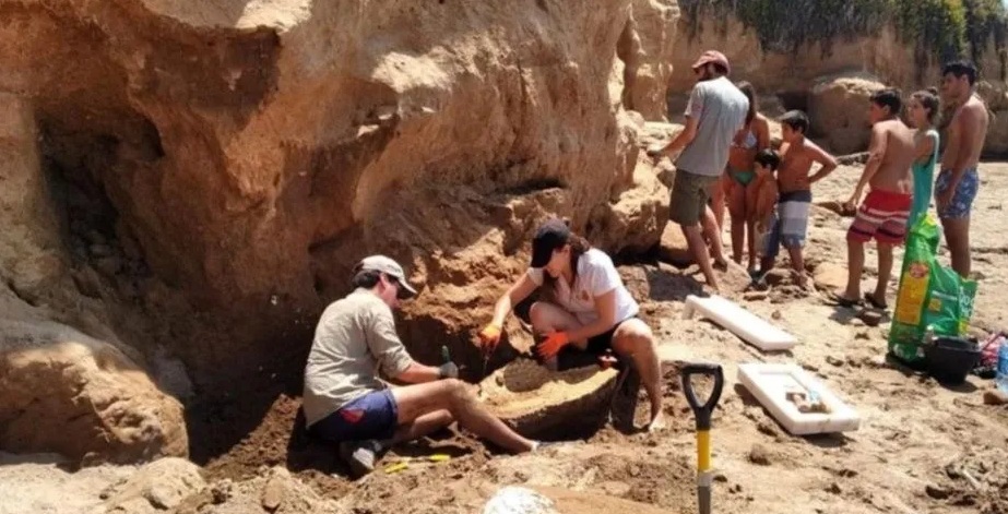 Hallan restos fósiles de un gliptodonte