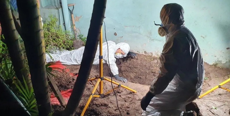 Trabajo de los forenses