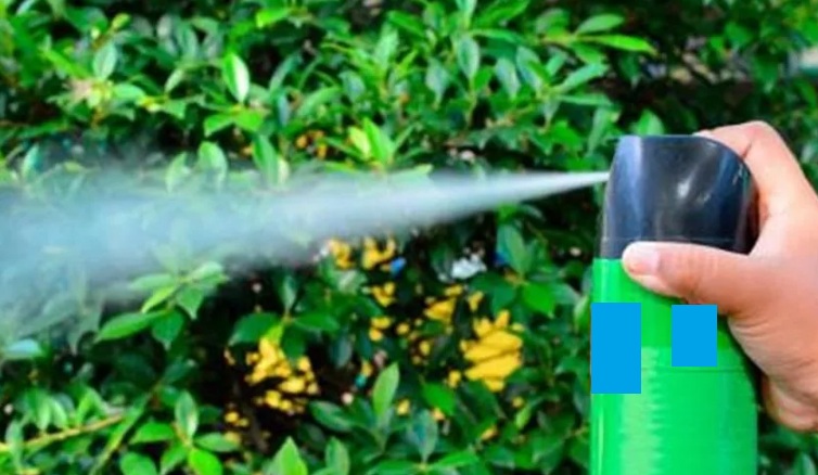 Imagen ilustrativa insecticida Imagen ilustrativa insecticida
