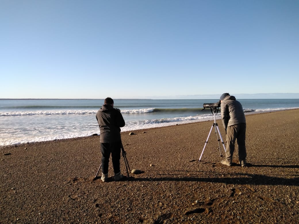 Observadores de aves realizando tareas de campo en las áreas protegida Observadores de aves realizando tareas de campo en las áreas protegida