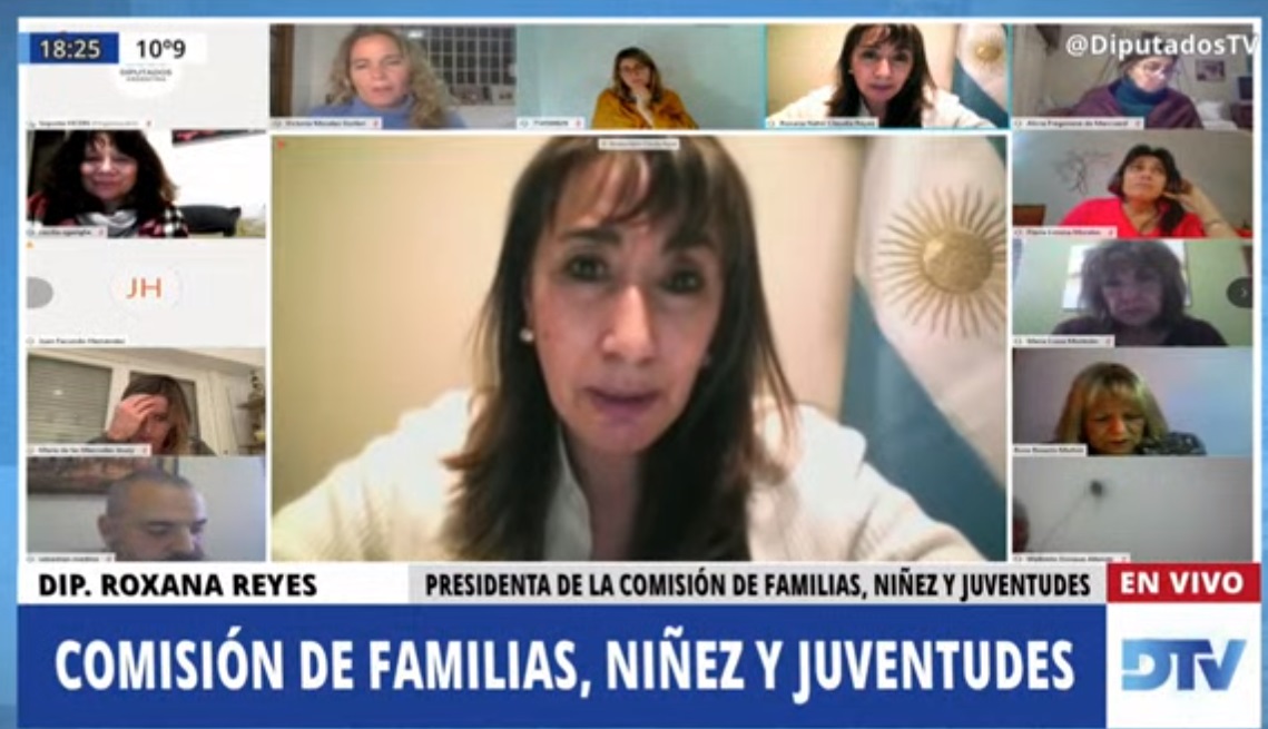 Roxana Reyes encabezó la reunión virtual. Roxana Reyes encabezó la reunión virtual.