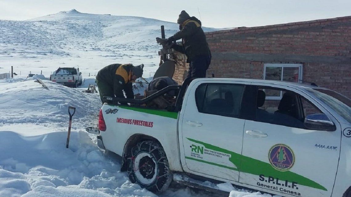 Temporal de nieve