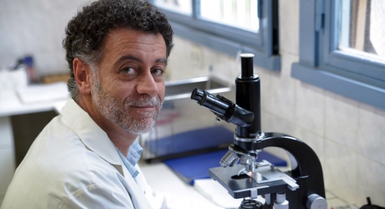 Dr Walter Manucha Dr Walter Manucha