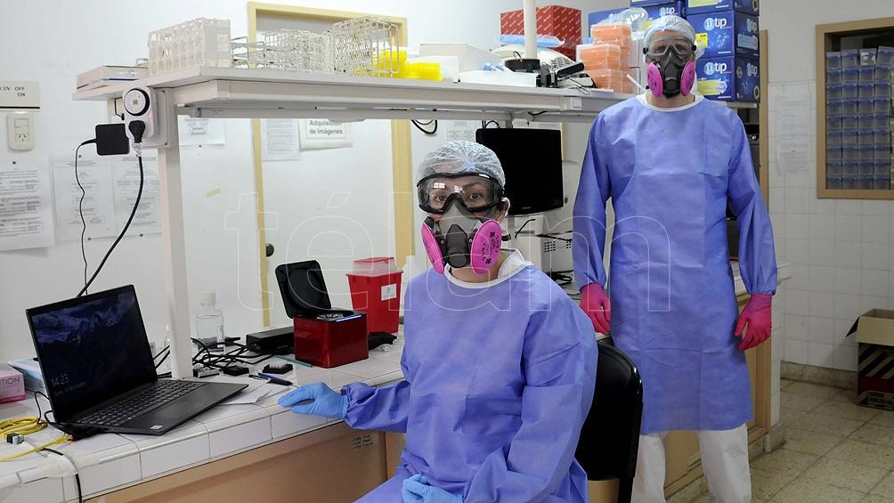 Elaboran una guía para la detención en animales