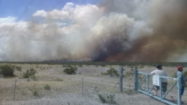 Una imagen del frente del incendio. (Foto: @MollMadryn) Una imagen del frente del incendio. (Foto: @MollMadryn)