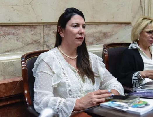 Karina Bachey, diputada nacional del PRO (San Luis) Karina Bachey, diputada nacional del PRO (San Luis)