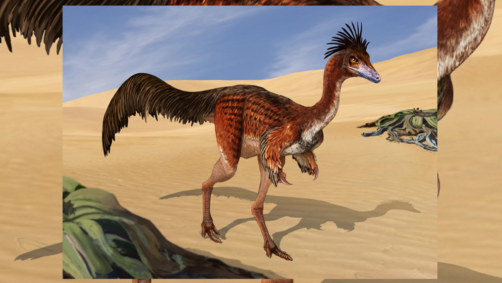 Bonapartenykus ultimus, un dinosaurio que habitaba la Patagonia. Bonapartenykus ultimus, un dinosaurio que habitaba la Patagonia.