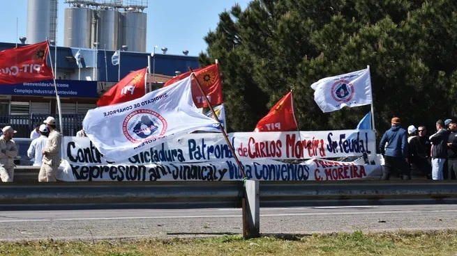 Sectores de la economía Sectores de la economía
