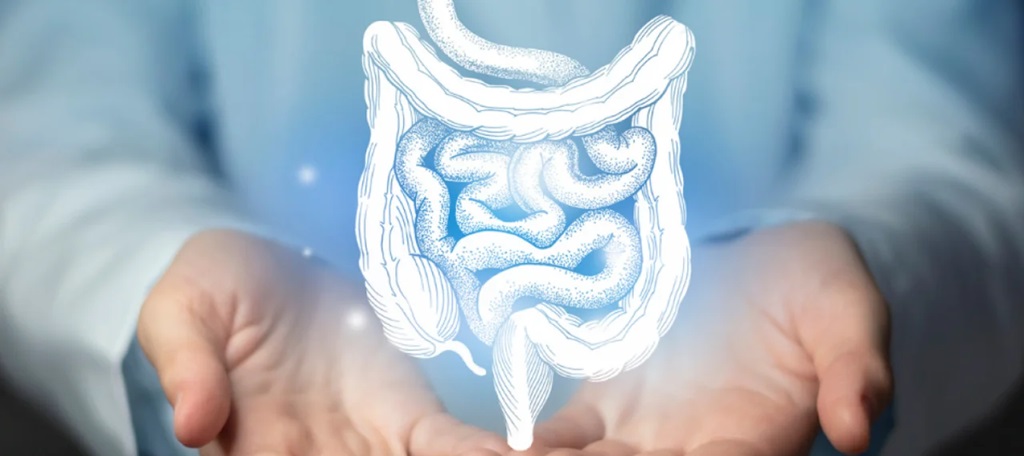 El SIC aparece cuando el intestino delgado, resulta demasiado corto. El SIC aparece cuando el intestino delgado, resulta demasiado corto.