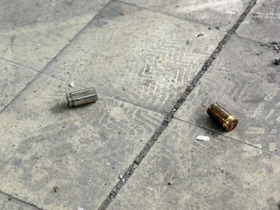 El hombre disparó para disuadirlos. El hombre disparó para disuadirlos.