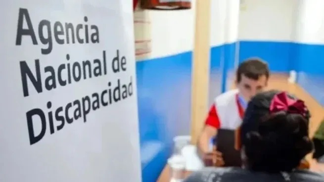 Discapacidad Discapacidad
