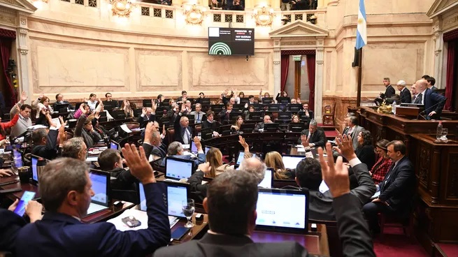 Cámara alta Cámara alta