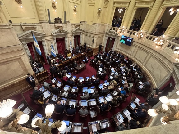 El Senado, en acción.