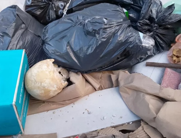 Cráneo en Playa Grande