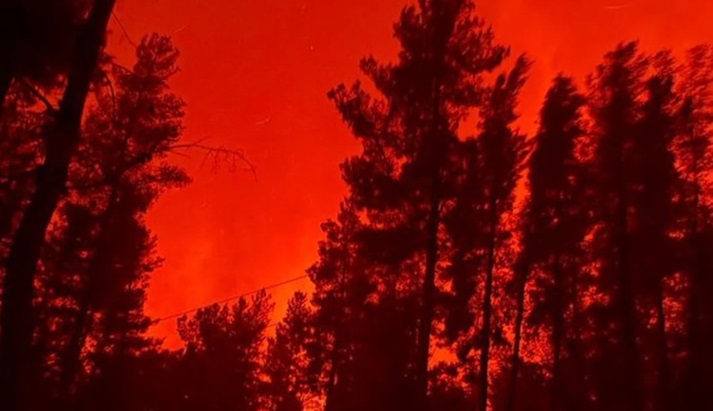 Imagen de Puerto Patriada, en Chubut, consumida por las llamas.