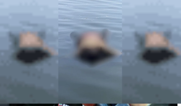 El cuerpo hallado a la altura de Ensenada.