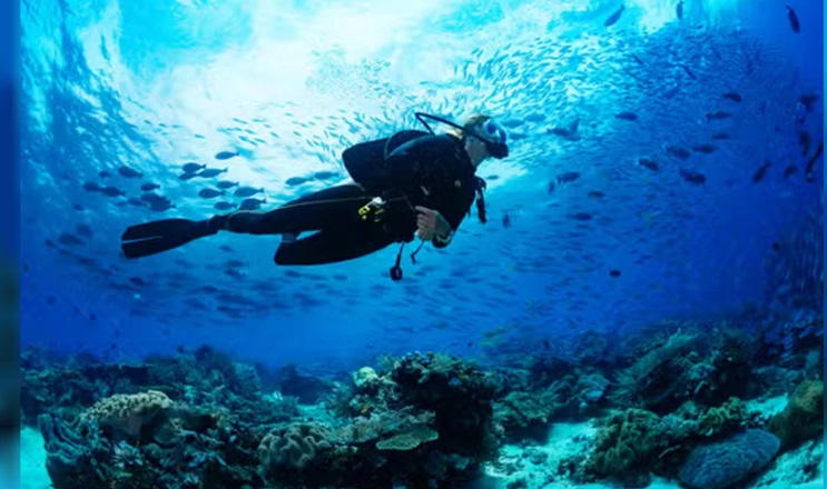 La joven desaparecida es de Buenos Aires.