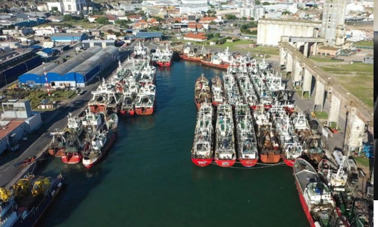 Buques tanques, portacontenedores y de carga