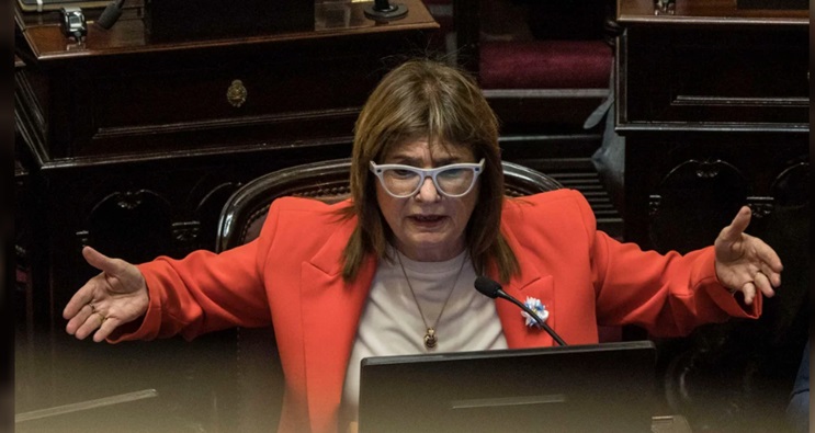 Patricia Bullrich en el Senado