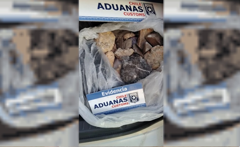 18 fósiles en el baúl: intentaron pasar los restos a Chile