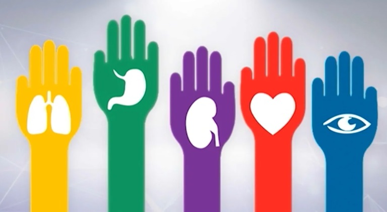 El Día Nacional de la Trasplante de Órganos se conmemora este viernes.