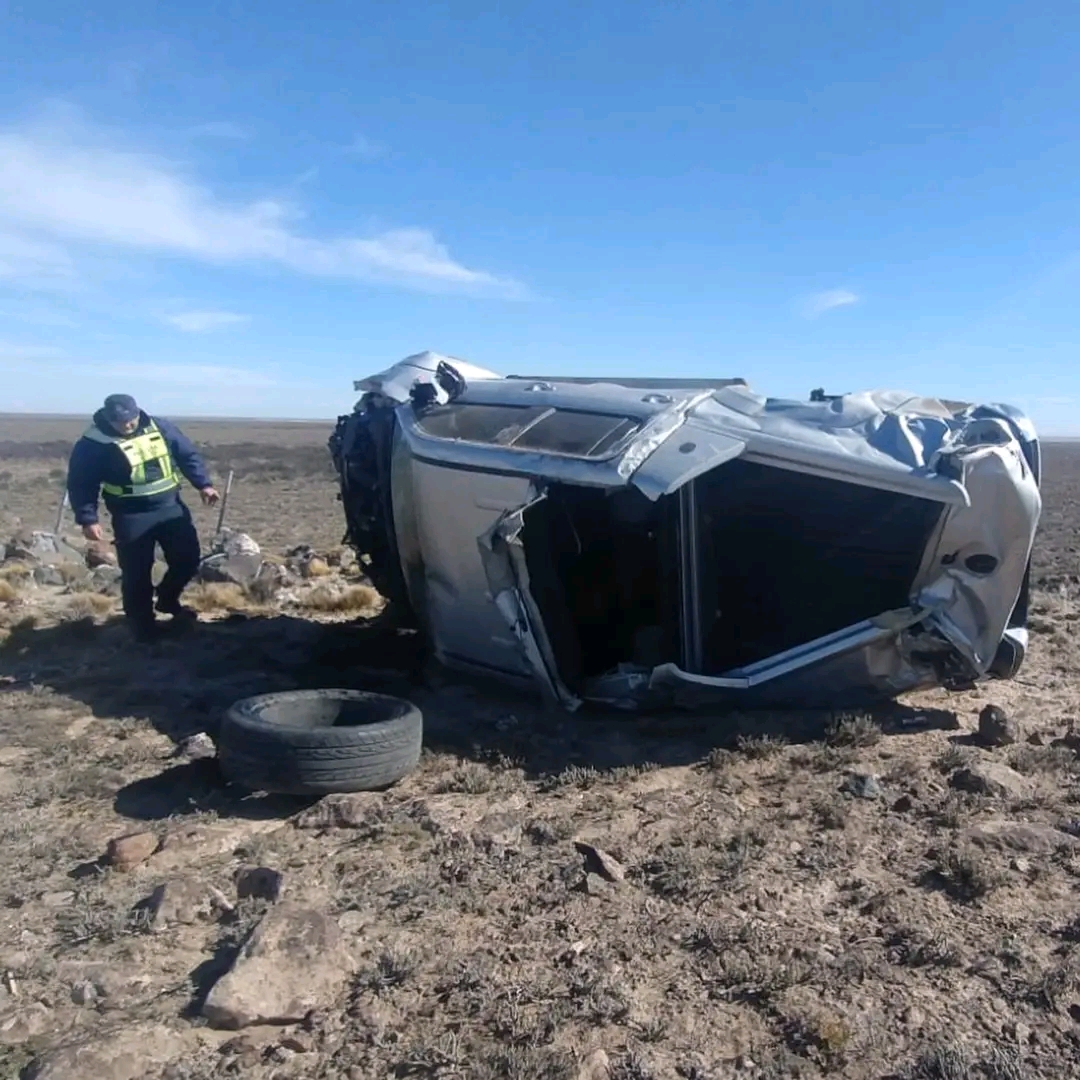 Tres Cerros: Una conductora volcó tras impactar contra un guanaco