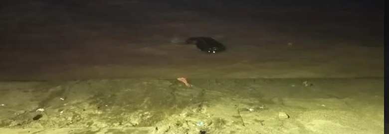 El veh&iacute;culo qued&oacute; dentro del agua. AGENCIA NA/SAME