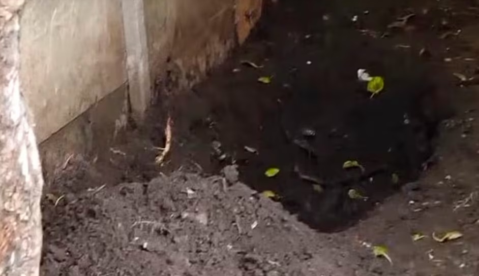 EL LUGAR DONDE SU HIJO DESENTERRÓ A SU MADRE