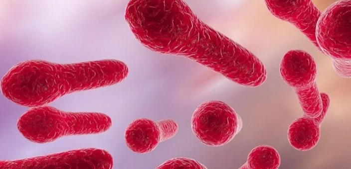 El tétanos es una enfermedad grave del sistema nervioso.