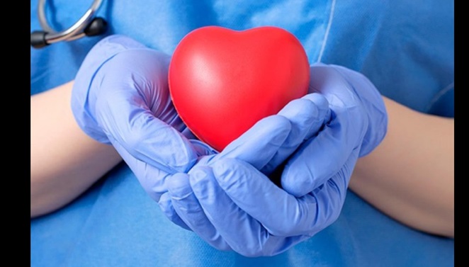 Es importante cuidar la salud cardiovascular.