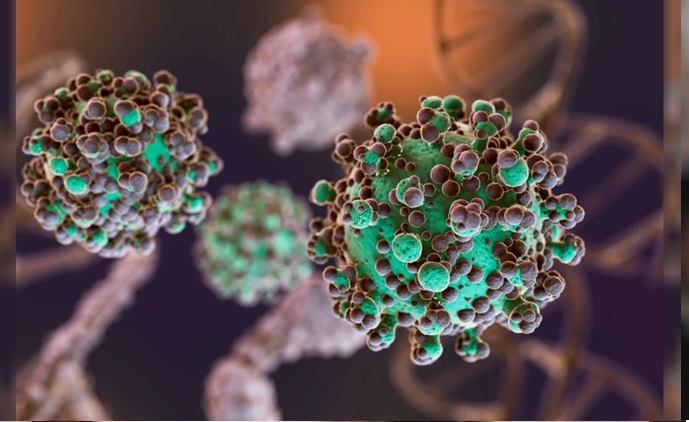 El hantavirus puso en alerta a varias jurisdicciones
