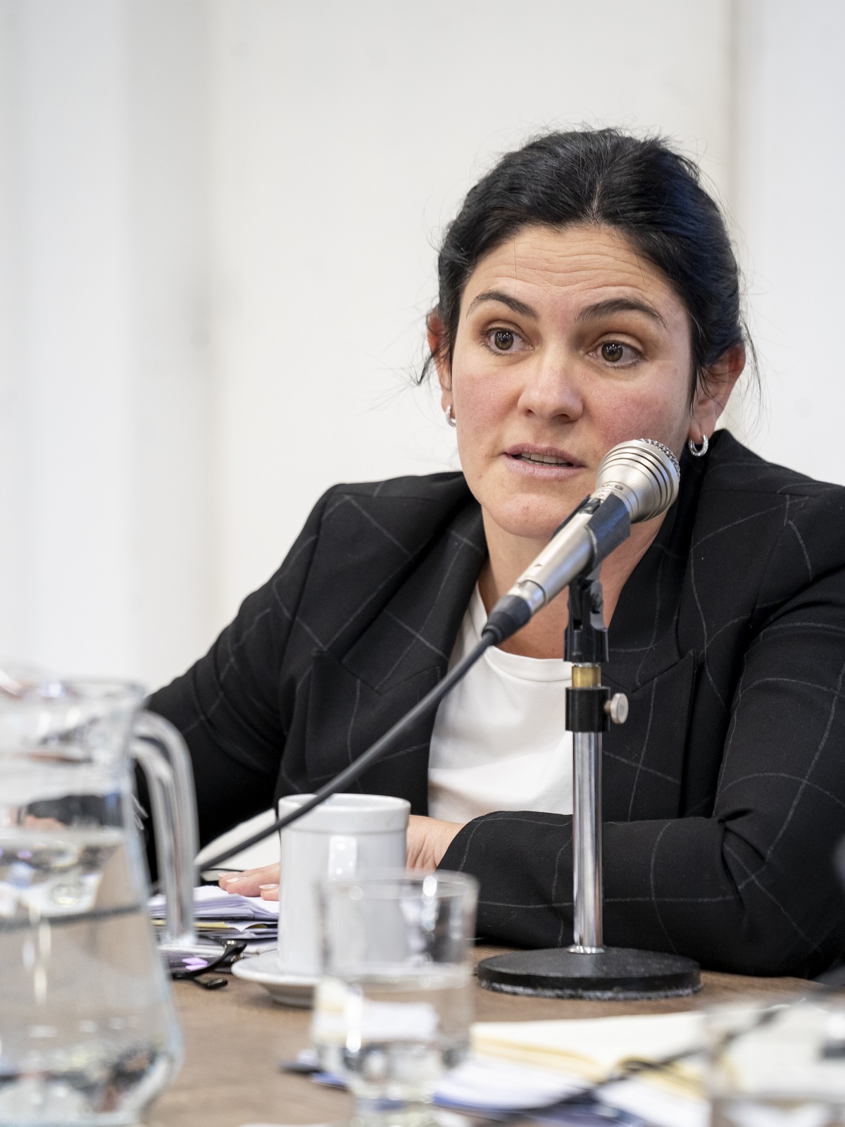 Ministra de Gobierno, Bel&eacute;n Elmiger.