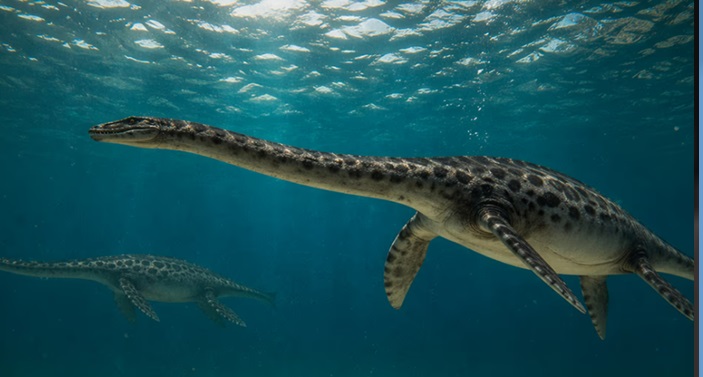 Kawanectes lafquenianus, un reptil marino