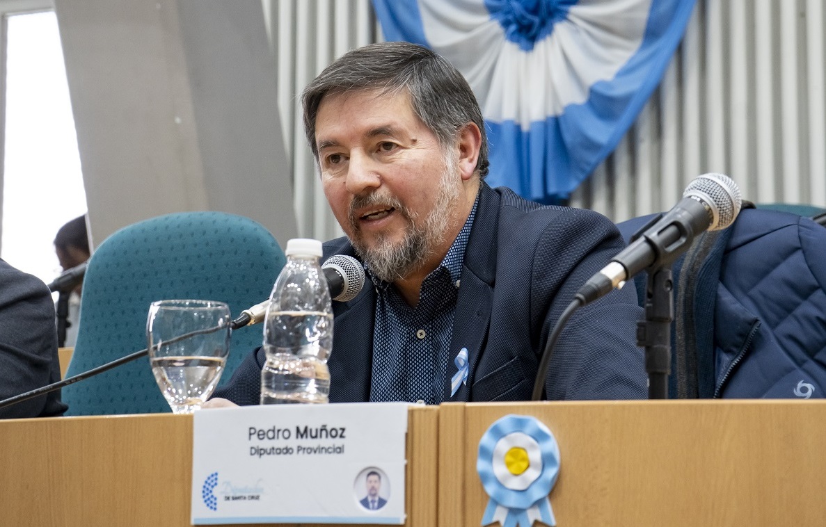 Diputado Pablo Muñoz.