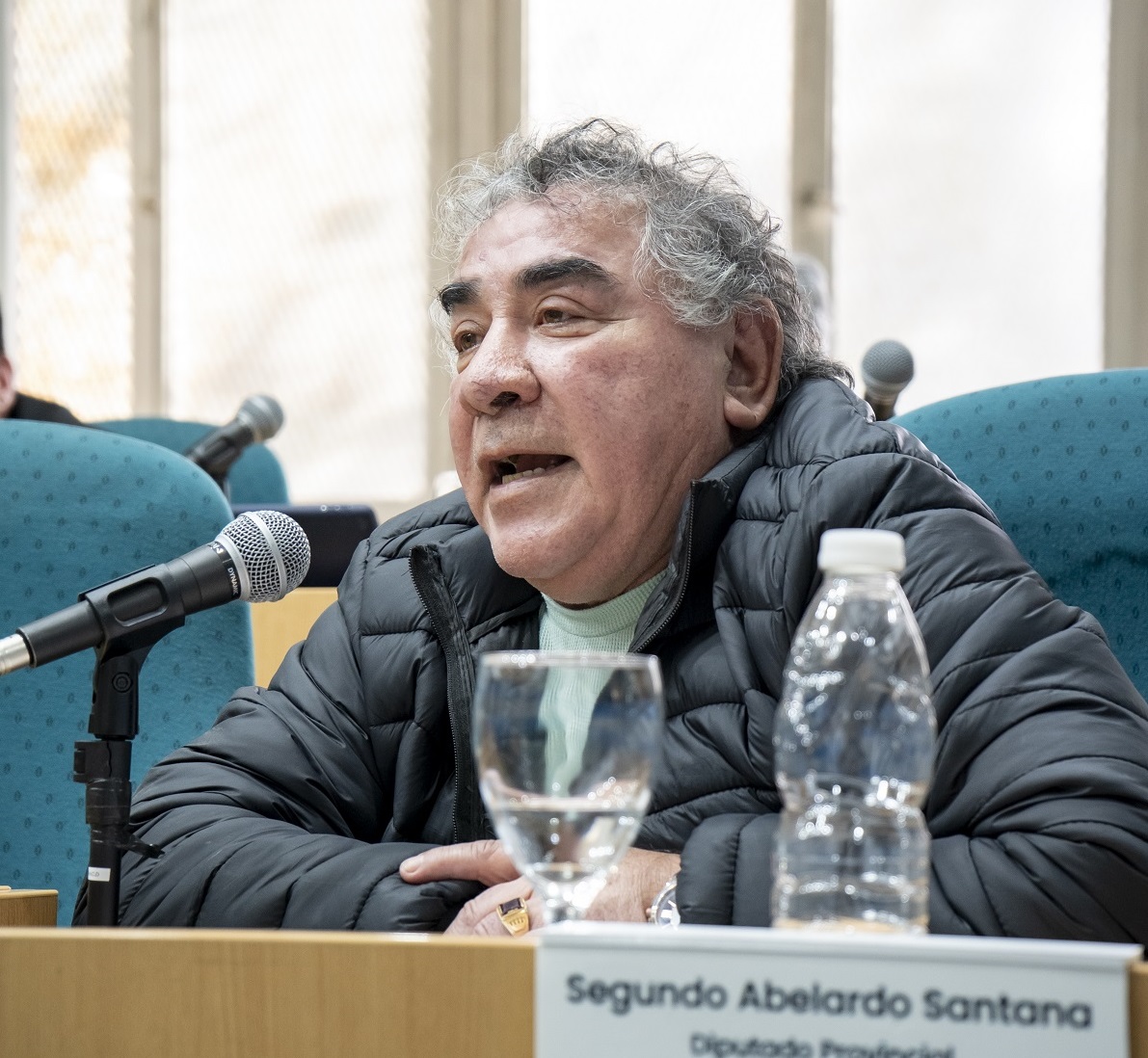 Diputada Segundo Santana.