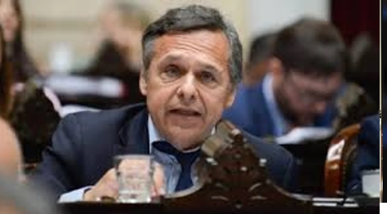 DIPUTADO NACIONAL