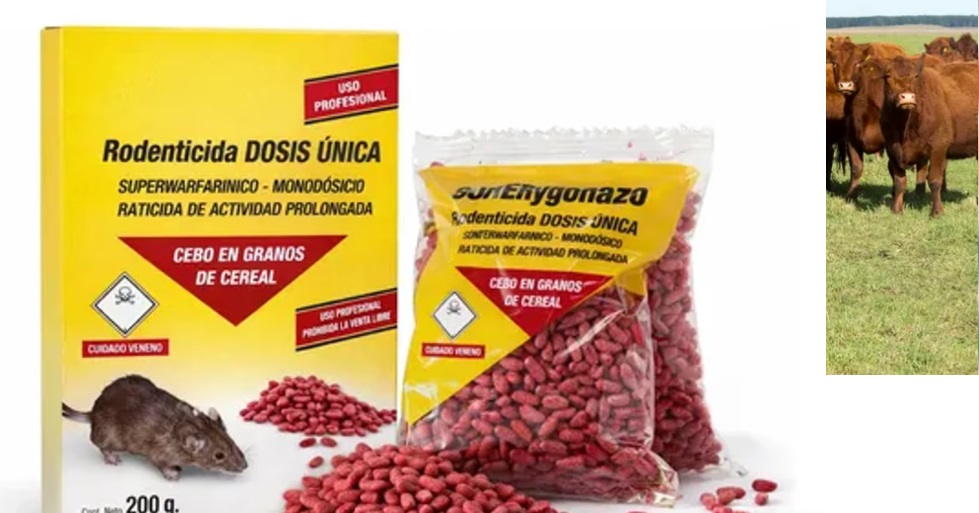 PROHÍBEN RATICIDA