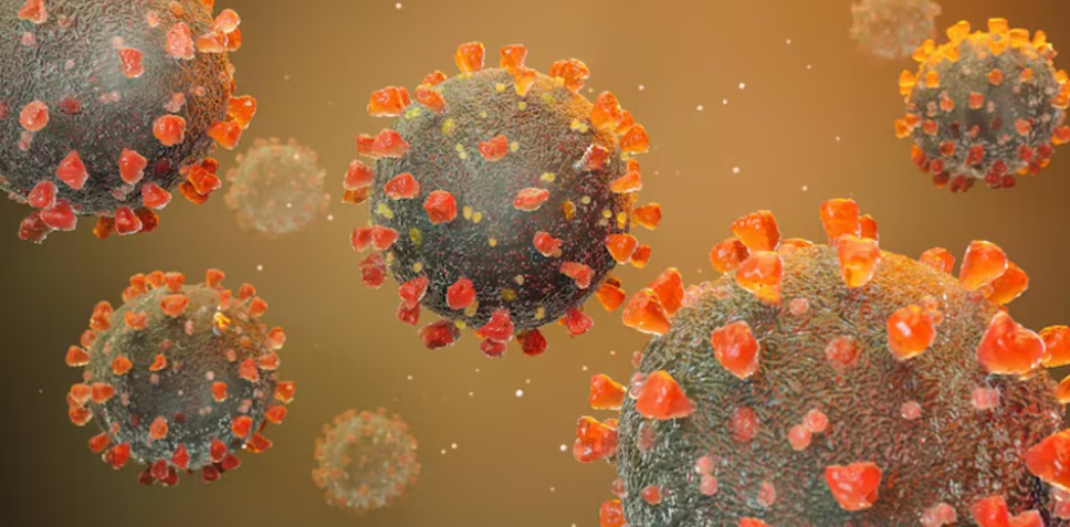 El herpes zóster, conocido popularmente como culebrilla.