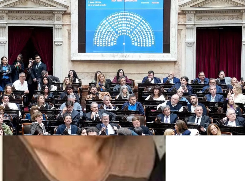 DIPUTADOS